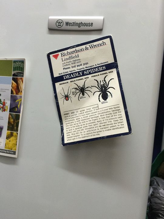 Cartel anunciando los tres tipos de araña mortal que habitan en Lienfield, al norte de Sydney en Australia