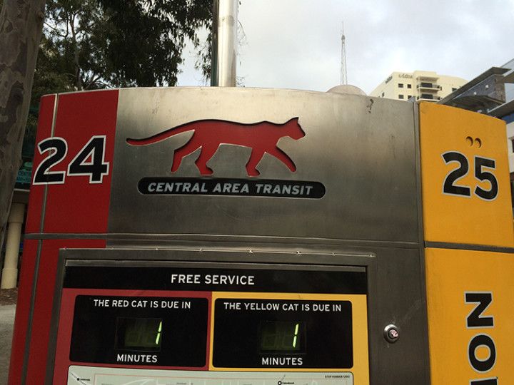 Foto: Eli Zubiria. El CAT es el conjunto de líneas de autobuses gratuitos de la ciudad de Perth, en Australia.